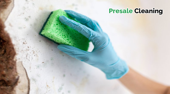how-do-pre-sale-house-cleaners-remove-stains-from-walls-effectively