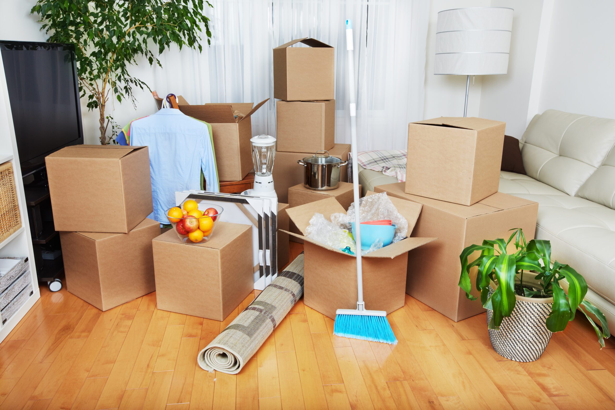 pre-sale cleaning with advanced techniques