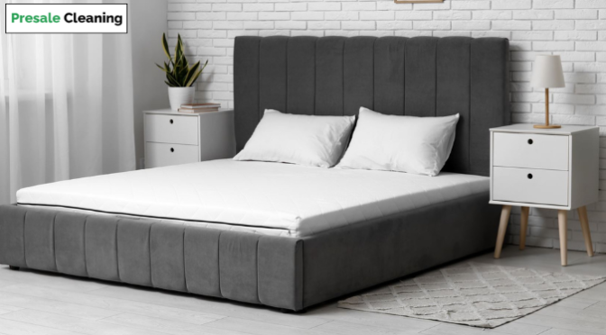 How Professional Presale Cleaning Can Increase Property Value in Melbourne